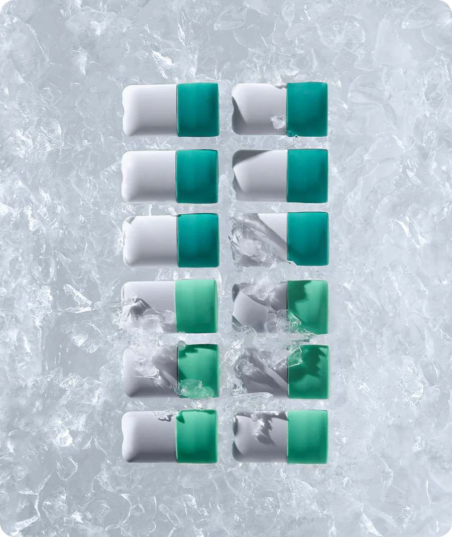ARCTIC BITE - Image 9