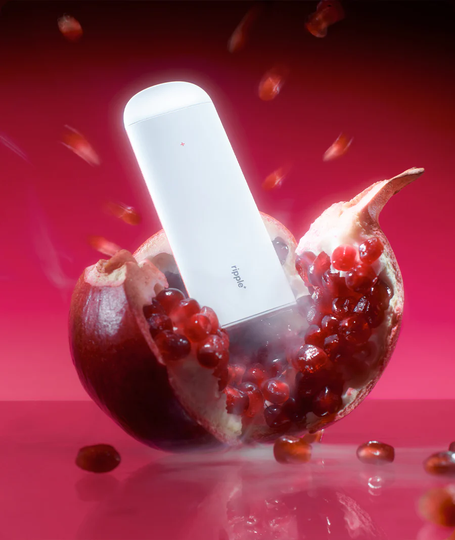 BOOST - Image 5
