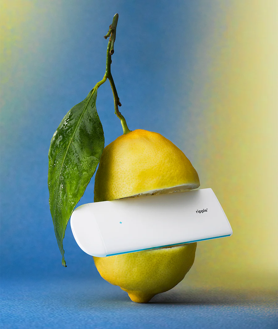 CITRUS DRIFT - Image 3