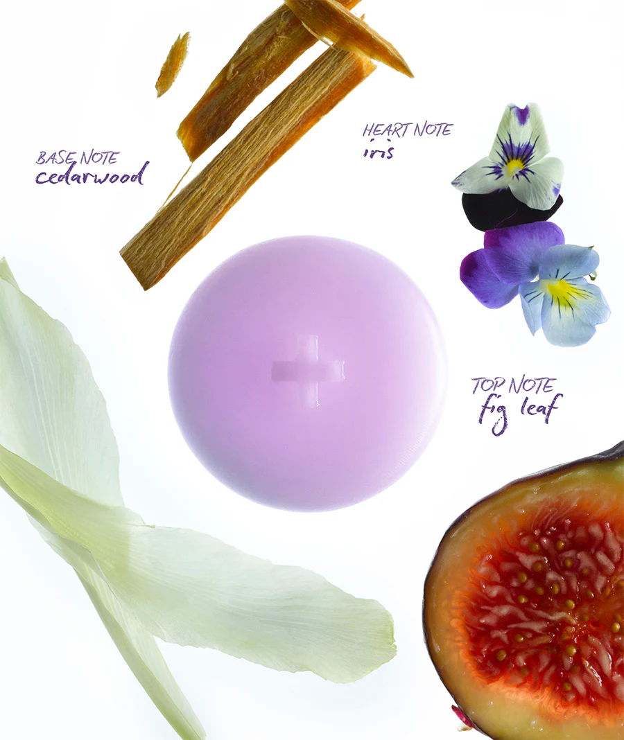 FIG LEAF MELTS - Image 3