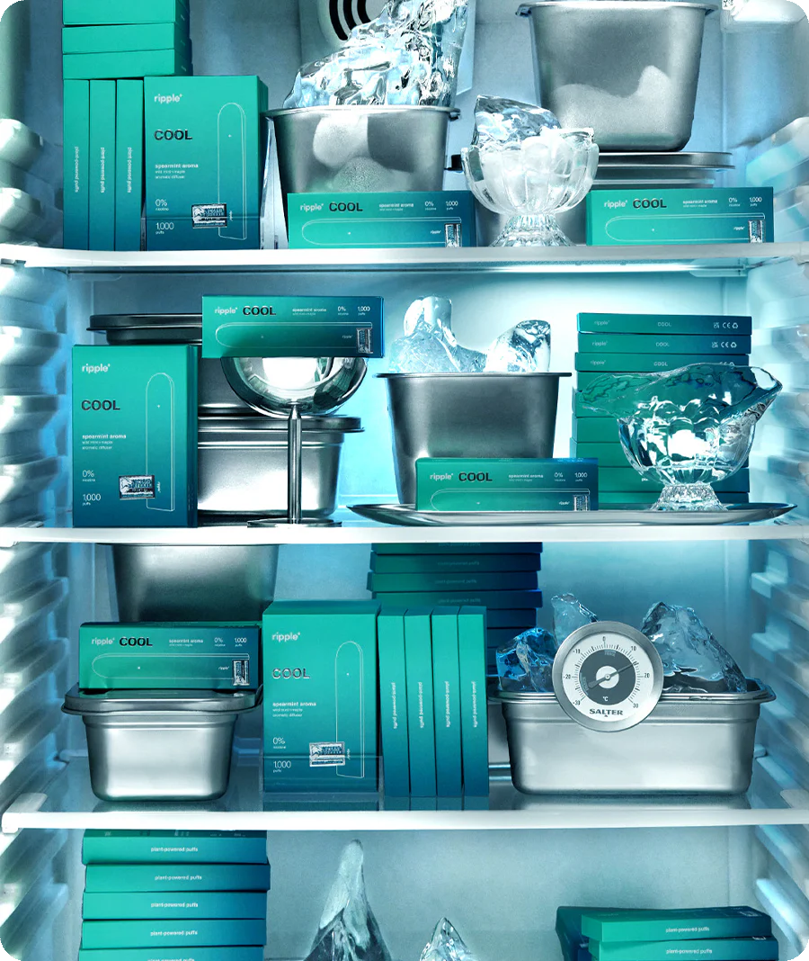 FROST HAVEN - Image 6