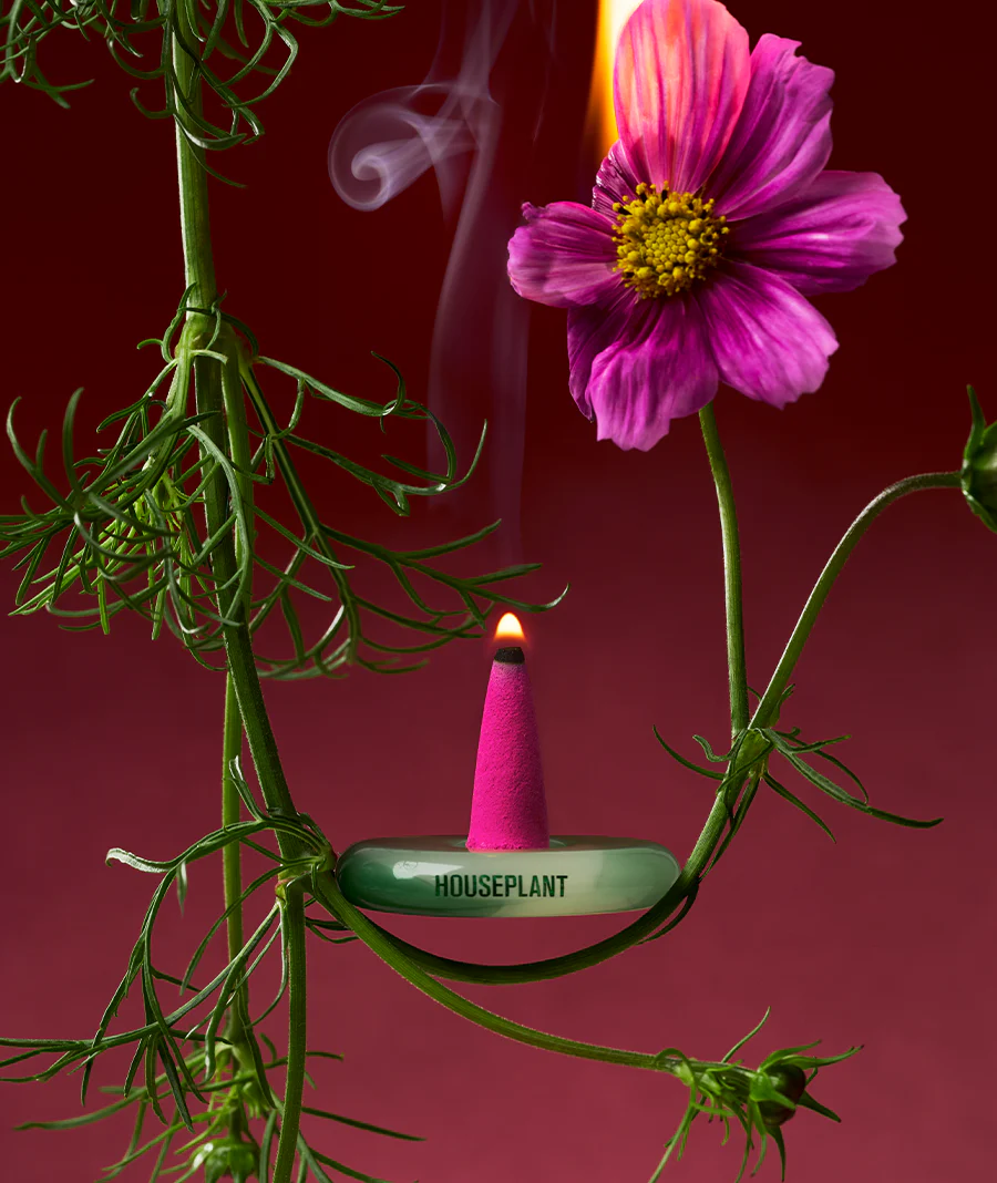 HOUSEPLANT MINI-PACK - Image 3