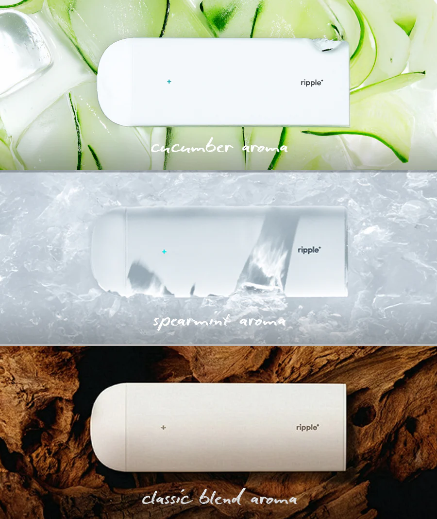 LIMITED EDITIONS - Image 3