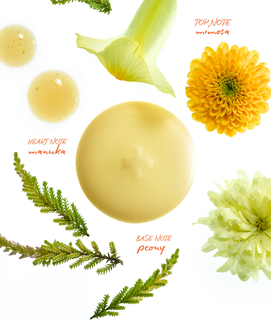 MIMOSA MELTS - Image 3