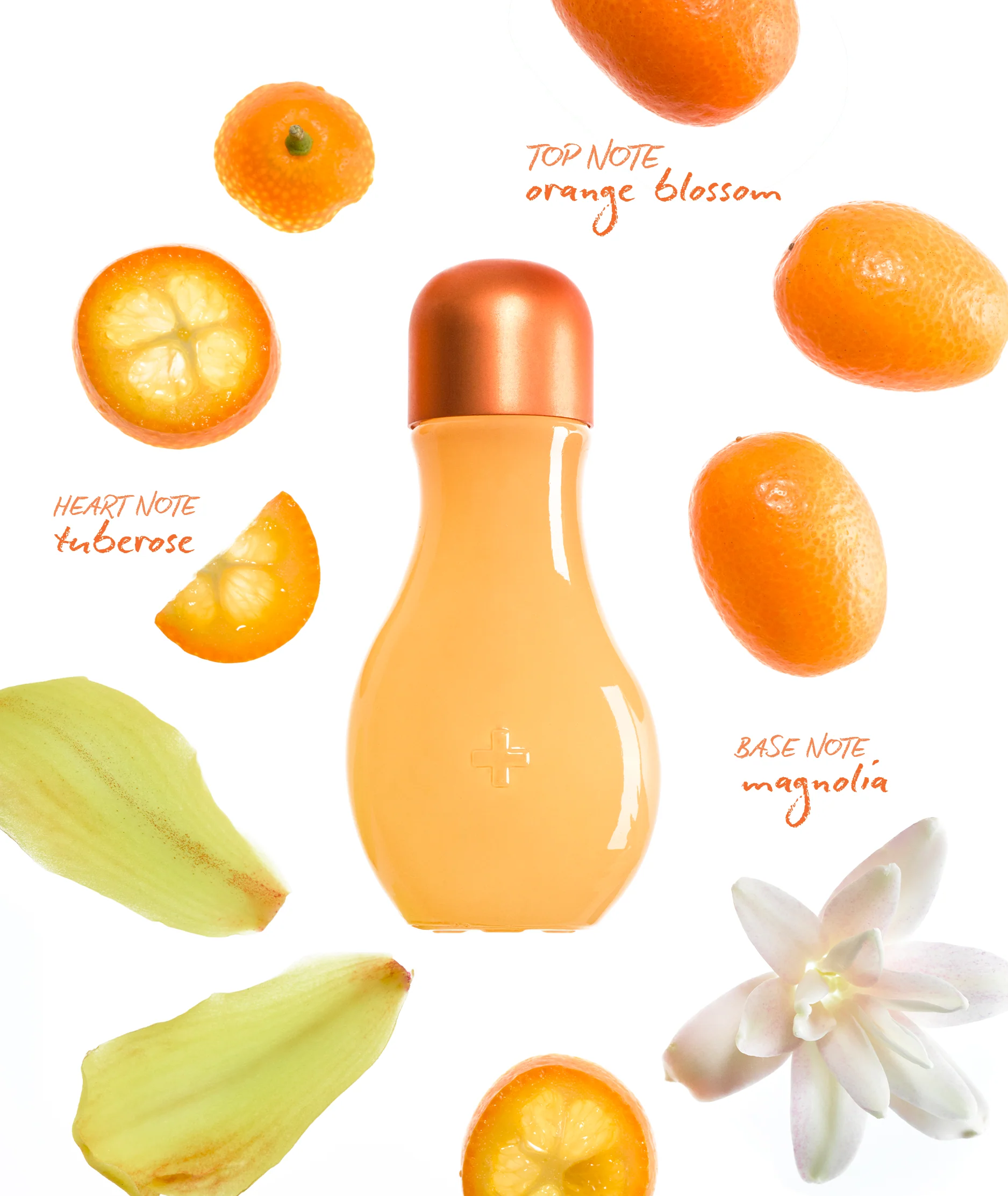 ORANGE BLOSSOM DROPS - Image 3